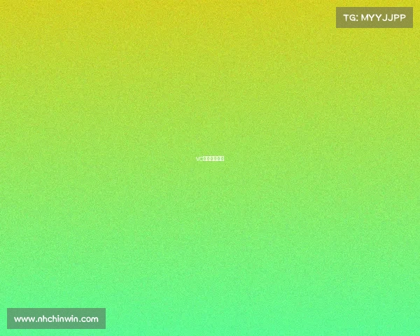 vc战队老板是谁